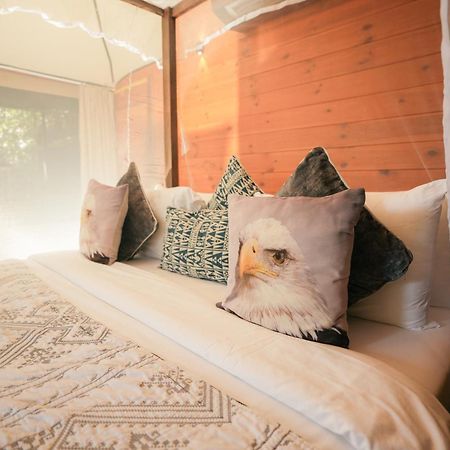 Tribe Yala - Luxury Camping Ngoại thất bức ảnh
