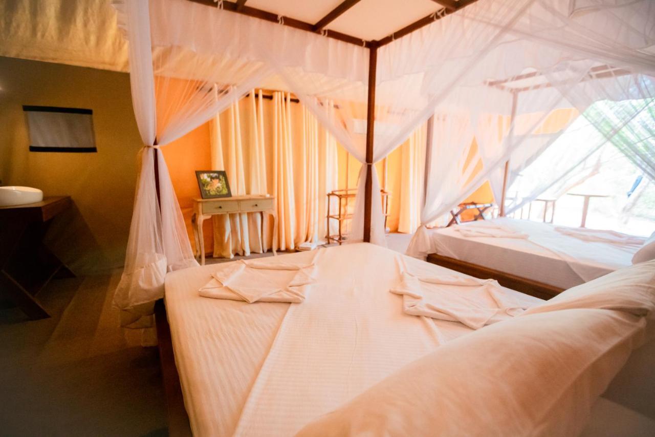 Tribe Yala - Luxury Camping Ngoại thất bức ảnh