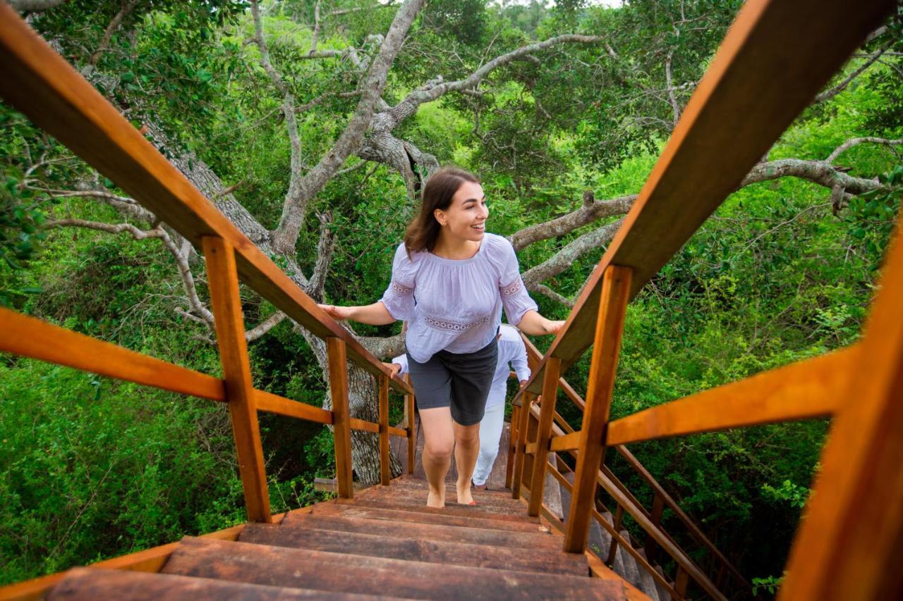 Tribe Yala - Luxury Camping Ngoại thất bức ảnh