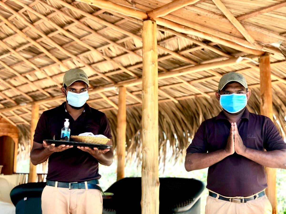 Tribe Yala - Luxury Camping Ngoại thất bức ảnh