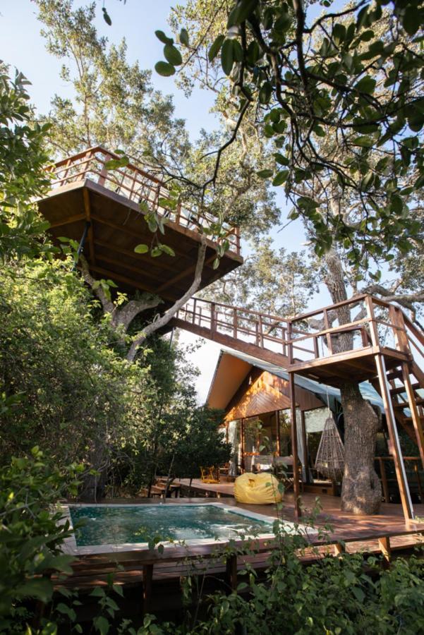 Tribe Yala - Luxury Camping Ngoại thất bức ảnh