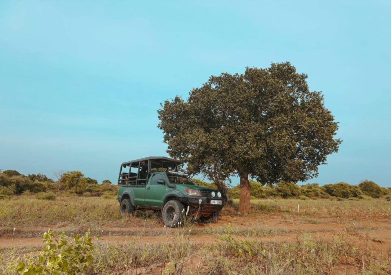 Tribe Yala - Luxury Camping Ngoại thất bức ảnh