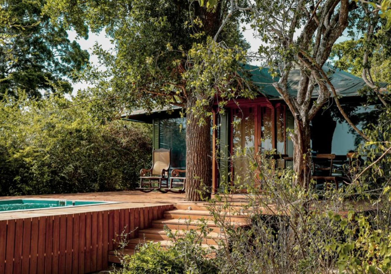 Tribe Yala - Luxury Camping Ngoại thất bức ảnh