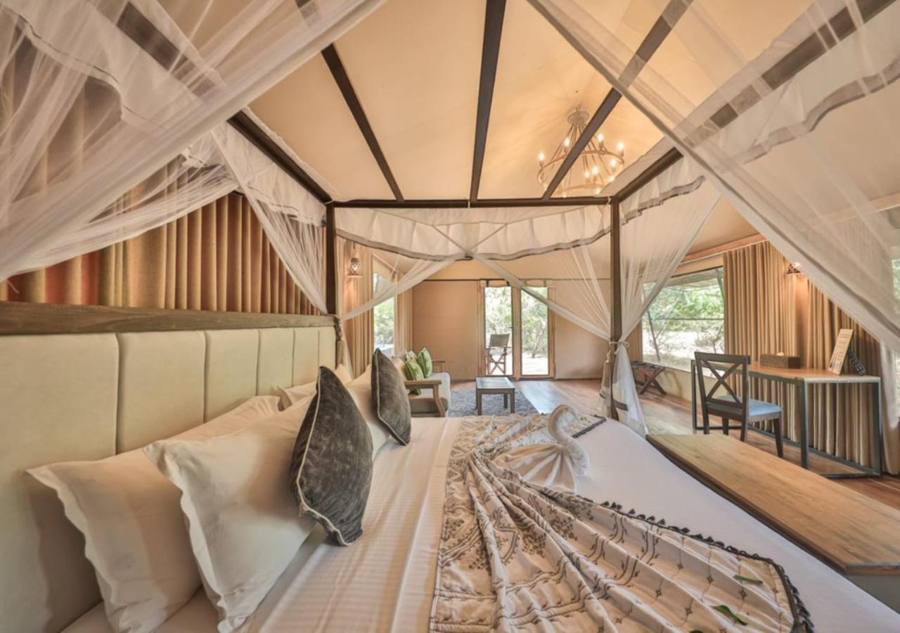Tribe Yala - Luxury Camping Ngoại thất bức ảnh