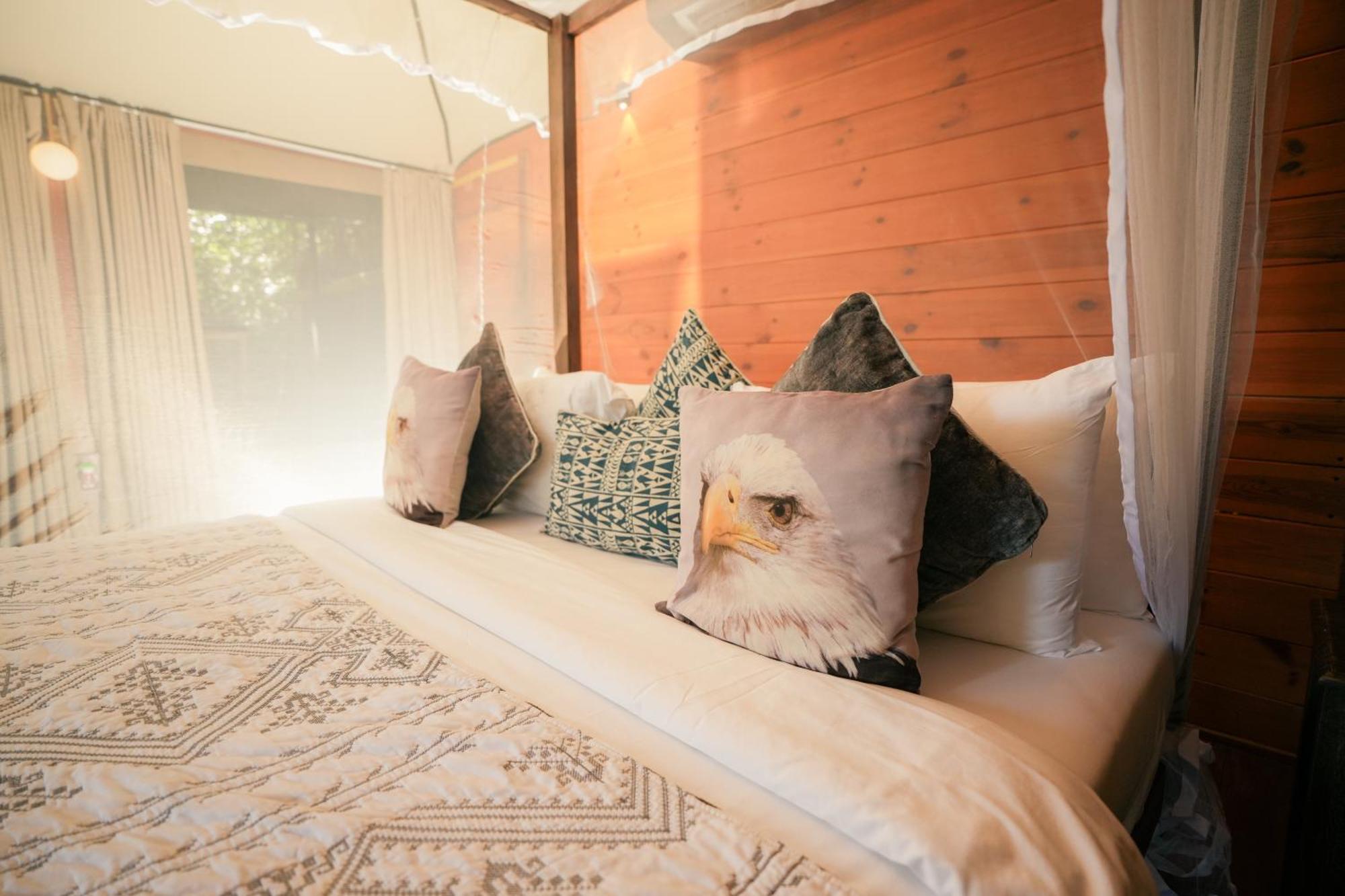 Tribe Yala - Luxury Camping Ngoại thất bức ảnh